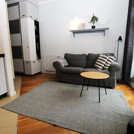 Classic Comfort Apartment